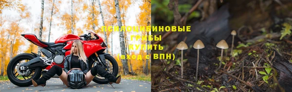 Альфа ПВП Абинск