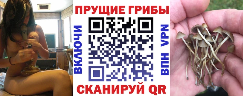 Псилоцибиновые грибы мицелий Сорск