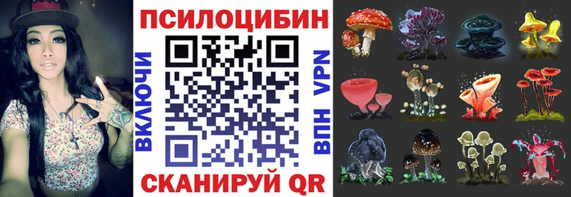 купить   Сорск  Галлюциногенные грибы мухоморы 